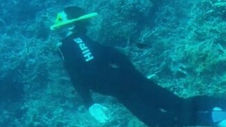 Jimmy Jan snorkelling the Great Barrier Reef. Photo: Jimmy Jan TikTok