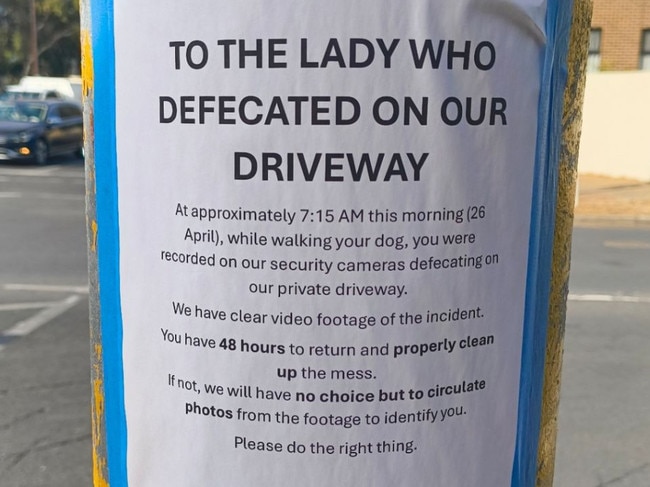 Poo walker in Adelaide. Picture: Reddit