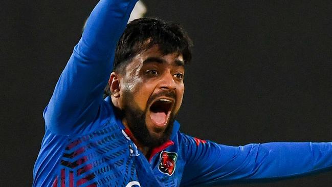 Afghanistan's Rashid Khan appeals for leg before wicket (LBW) against Pakistan's Agha Salman (not pictured) during the third and final one-day international (ODI) cricket match between Pakistan and Afghanistan at the R. Premadasa Stadium in Colombo on August 26, 2023. (Photo by Ishara S. KODIKARA / AFP)