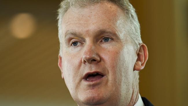 Leader of the House, Tony Burke said of all the symbols of bigotry, the Nazi salute was one they had “a particular need to unanimously oppose.” Picture: NCA NewsWire / Martin Ollman