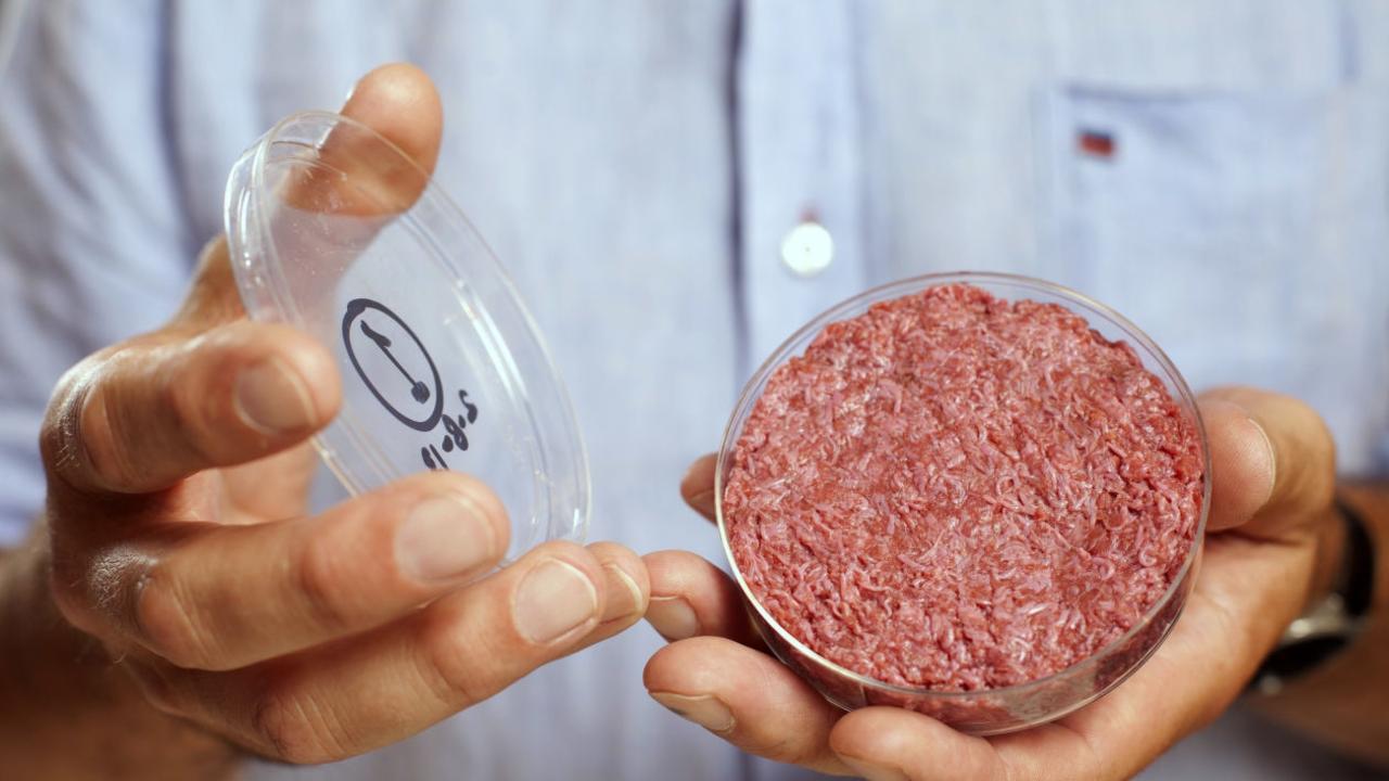 Mark Post holds the world's first lab-grown beef burger at a launch event in west London in 2013. PHOTO: DAVID PARRY