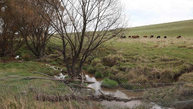 The McPhillamys gold mine site, which is now impacted by a section 10 ban on a proposed tailings dam location. Picture: Rohan Kelly