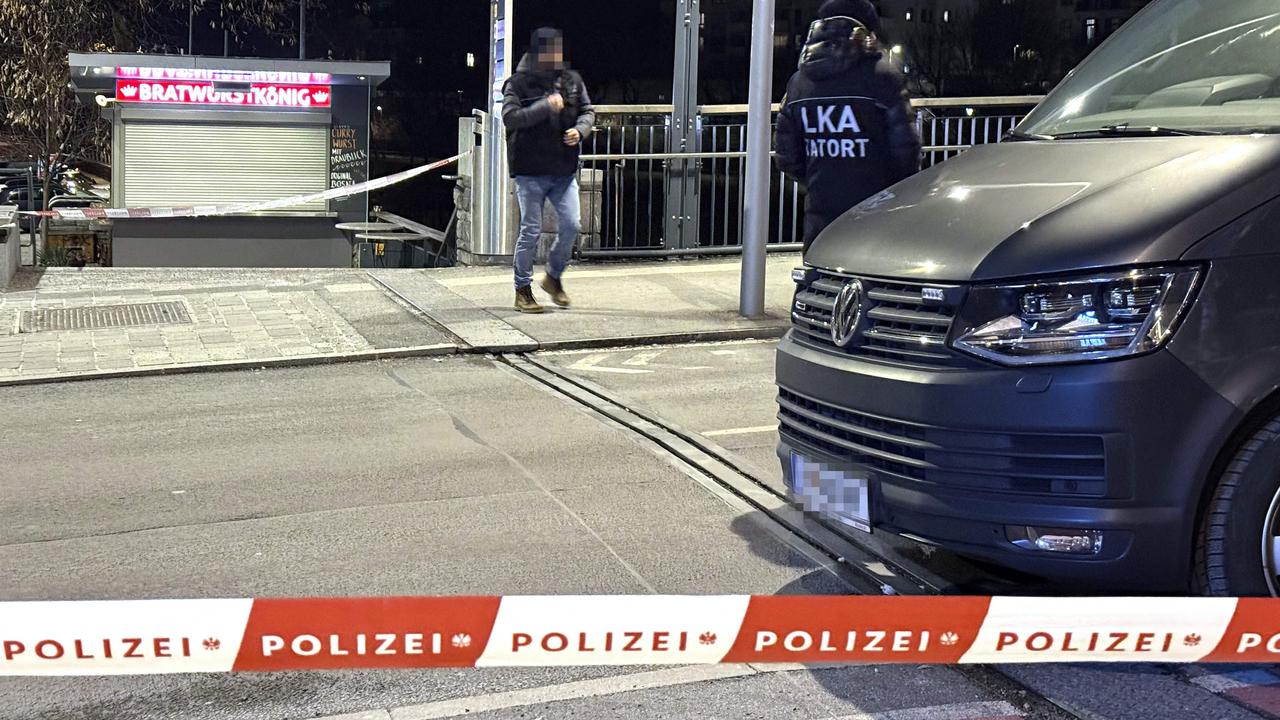 Syrian arrested after deadly stabbing rampage in Austria