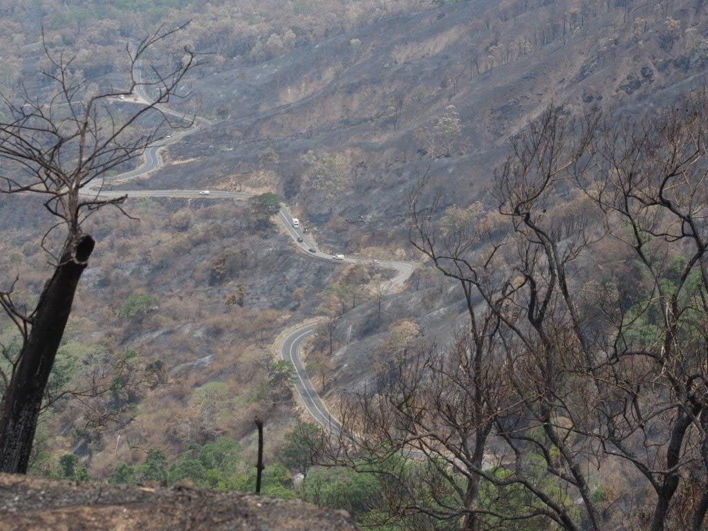 More fires could put Eungella gem at risk | The Courier Mail