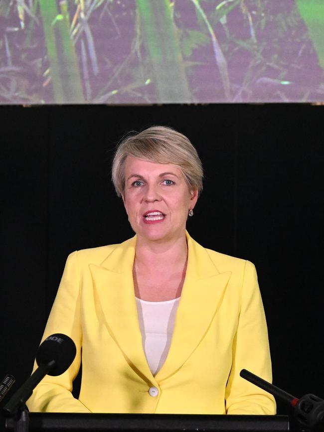 Environment Minister Tanya Plibersek. Picture: Dan Peled