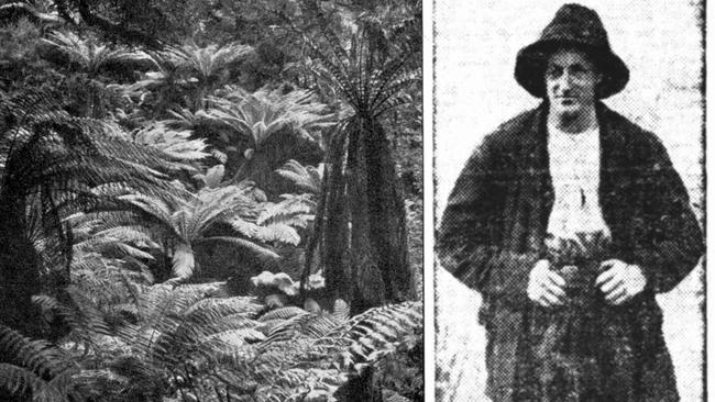 Maple’s accomplice, 18-year-old Robert Banks, and the thick bushland near Neerim where the teens were on the run. Pictures: State Library of Victoria, Trove