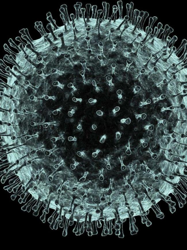 Computer generated image of the coronavirus. Picture: Science Photo Library