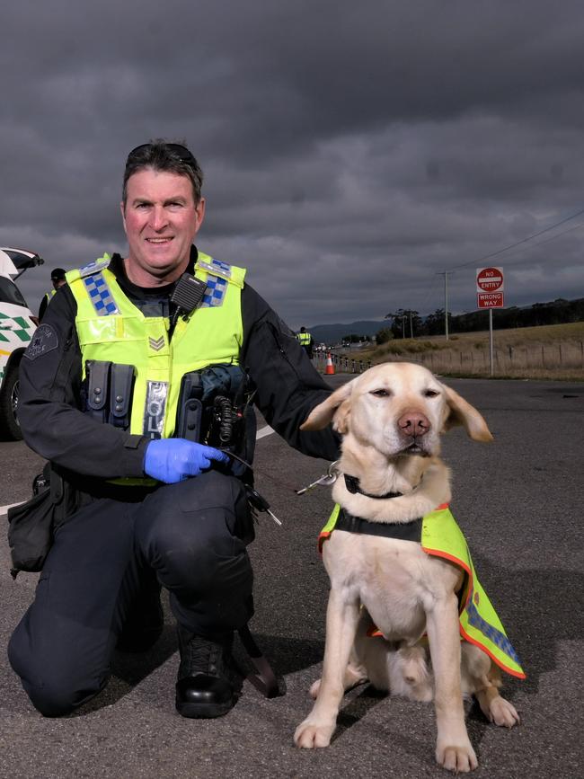 Sergeant Iain Shepherd and Bernie the Tasmania Police dog. File picture