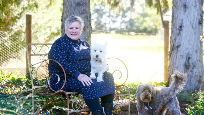 Jan Davis has been appointed CEO of RSPCA Tasmania. Picture: PATRICK GEE