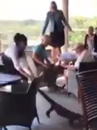 One diner jumped on a chair as Ms Lila wrangled with the struggling lizard. Picture: Facebook/Mimosa Wines