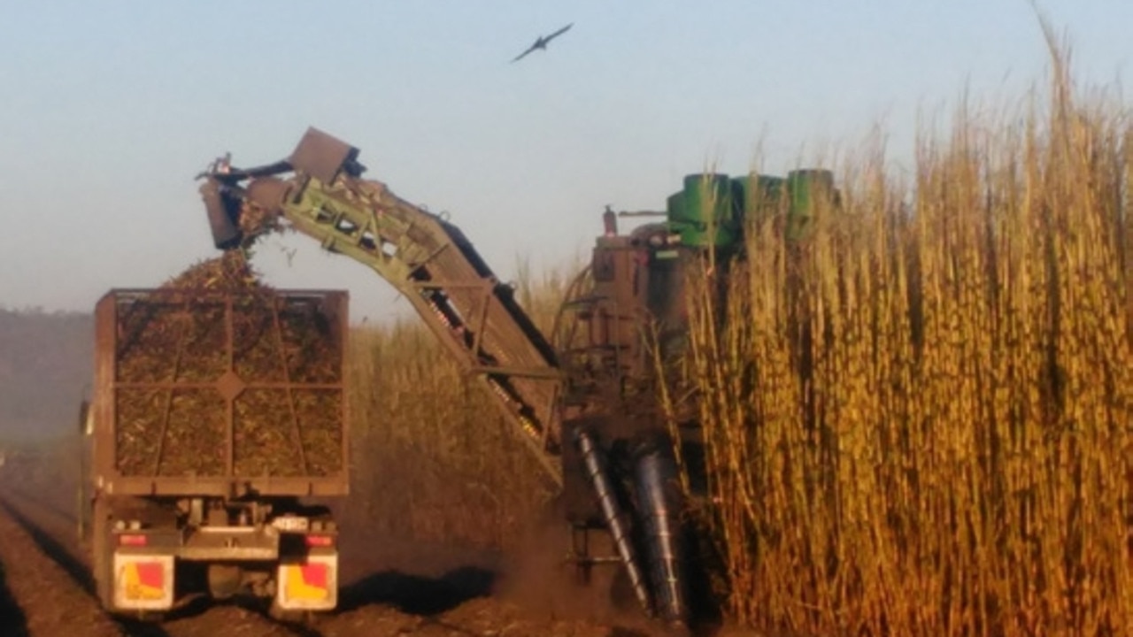 A new collaborative project is providing Australian sugarcane growers with information on incorporating enhanced efficiency fertilisers in their farming systems, considering weather scenarios and the economic implications of their use.