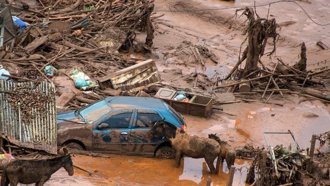 Horses stand beside a car after the Samarco dam burst. Picture: AFP