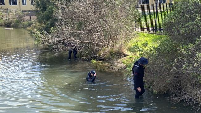 Police divers search the Stebonheath wetlands near St Columba College. Picture: Brinley Duggan