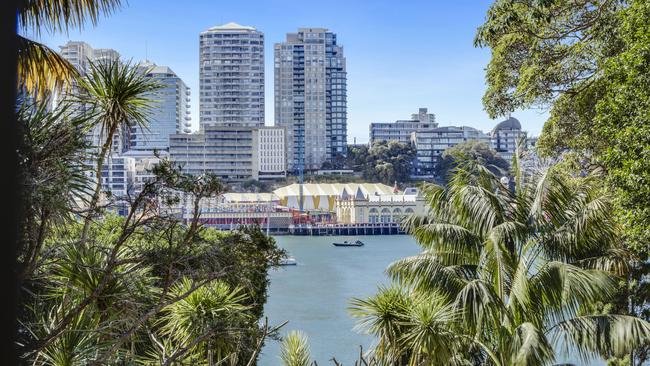 The trees are located next to the McMahons Point Wharf walkway.