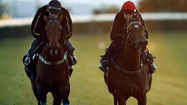 Dear Demi (left) and Every Faith do some work on the course at Caulfield. Picture: Michael Klein