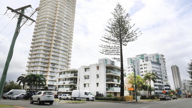 A controversial tree in front of development is going to be removed. Photo: Scott Powick Newscorp