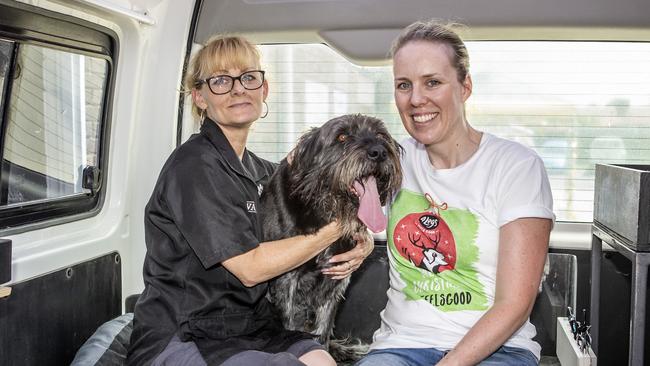 Tania Wilkins from T Dog Grooming and Olivia Ratten of 4Legs Natural Dog give Darla the star treatment. Picture: Sarah Matray