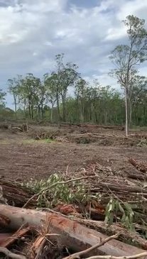 Trees cleared at Nerang MyCentre development site