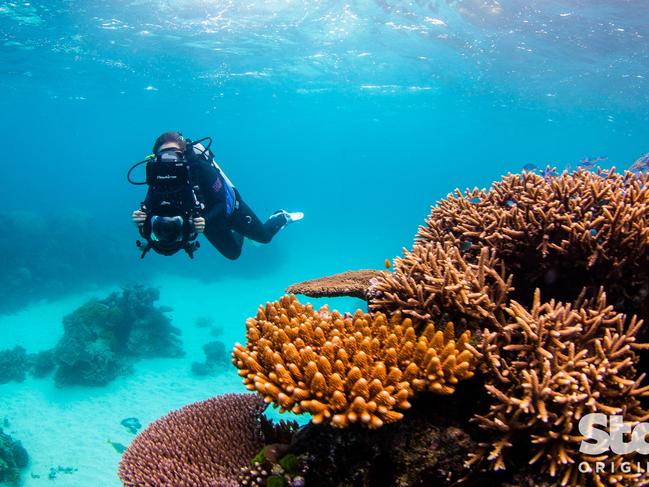 Still shot from Stan's Revealed: Reefshot documentary. Picture: Nicole Mclach Photo for Citizens of the Great Barrier Reef