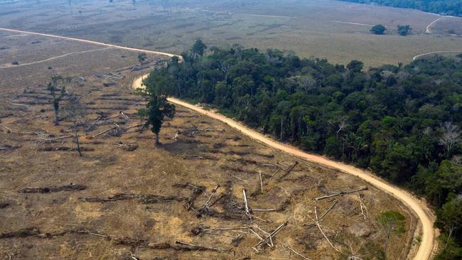 An example where an illegally light fire has turned Amzon rainforest into savanna. Picture: AFP