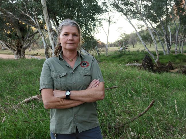 How Red Centre tourism is suffering from buffel grass