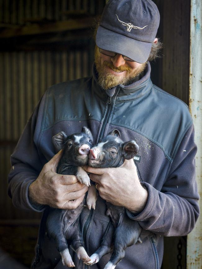 Jono holds two young Berkshire piglets in the property’s shearing shed.