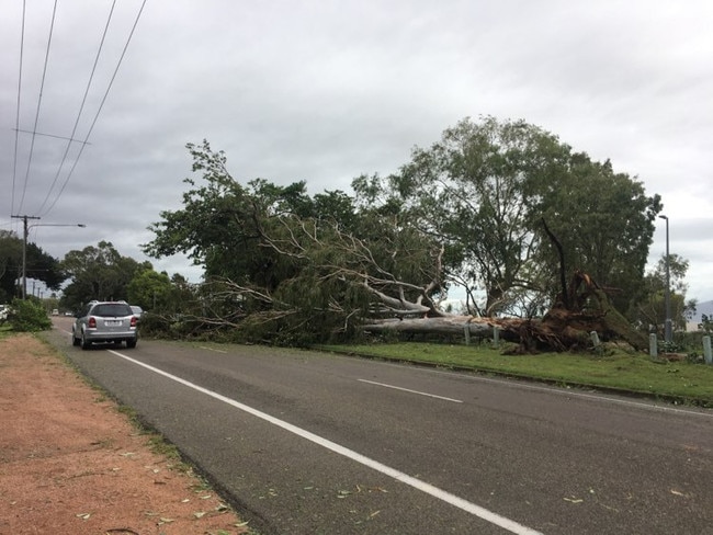 Tropical Cyclone Kirrily 2024: Locals survey the damage the morning after.