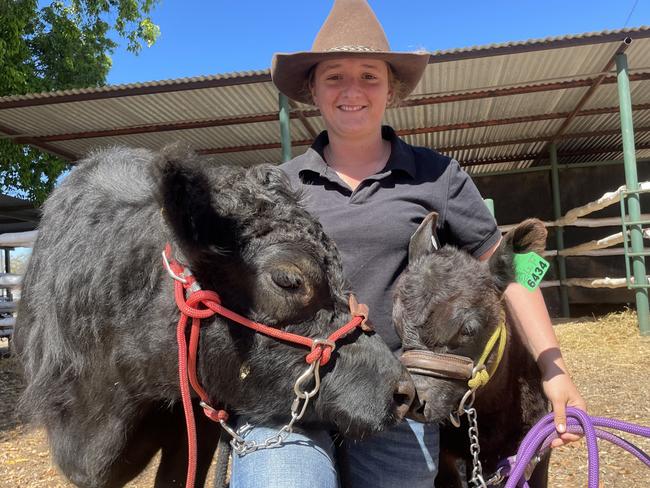 Emily Gale, 18, with Lowline cow Nalcoombie Secrets Keep who won grand champion senior female among the non-brahman breeds with her one month old bull calf at foot.