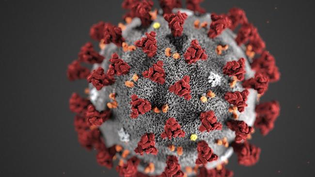 People with COVID-19 have been shown to develop antibodies. Picture: AFP/Centers for Disease Control and Prevention/Alissa Eckert