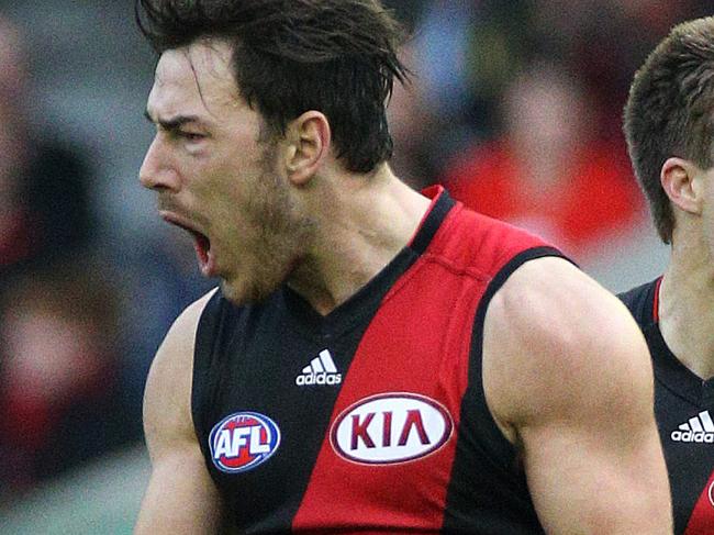 Essendon V Brisbane Lions at Etihad Stadium, 24th May , Melbourne Australia. Essendon's Michael Hibberd celebrates his goal in the third quarter Picture : George Salpigtidis