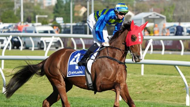 Another Wil disappointed in the Toorak Handicap but should bounce back quickly. Picture: George Sal/Racing Photos via Getty Images