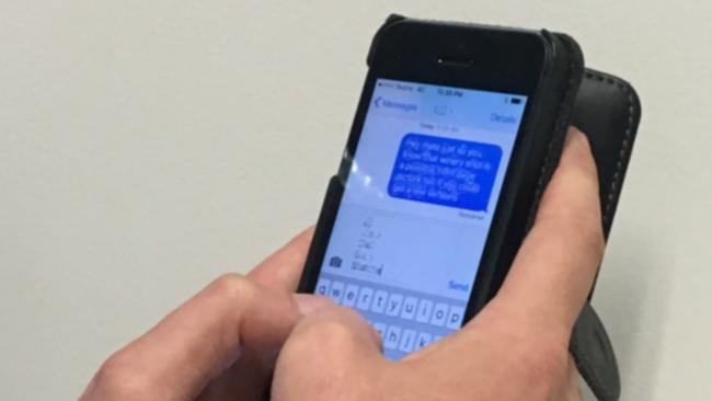 An apprentice tradie who faked abusive text messages from her ex-partner.