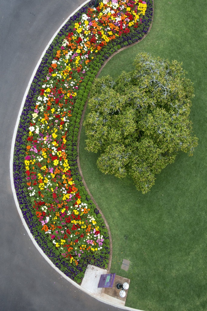 Queens Park Botanic Gardens in bloom for Carnival of Flowers 2016. Picture: Bev Lacey