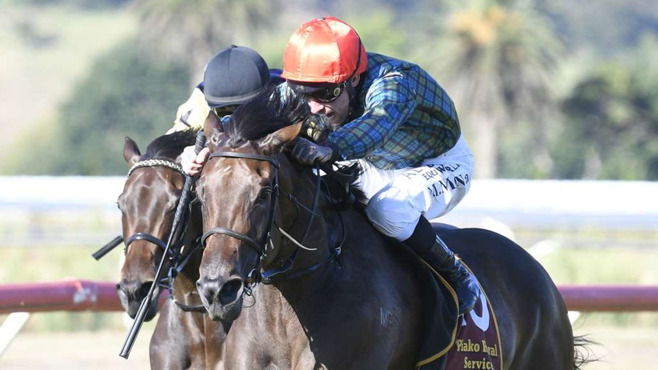 New Zealand filly Dubai Goldrush was a late entry in the Australian Oaks field. Picture: Kenton Wright/Race Images