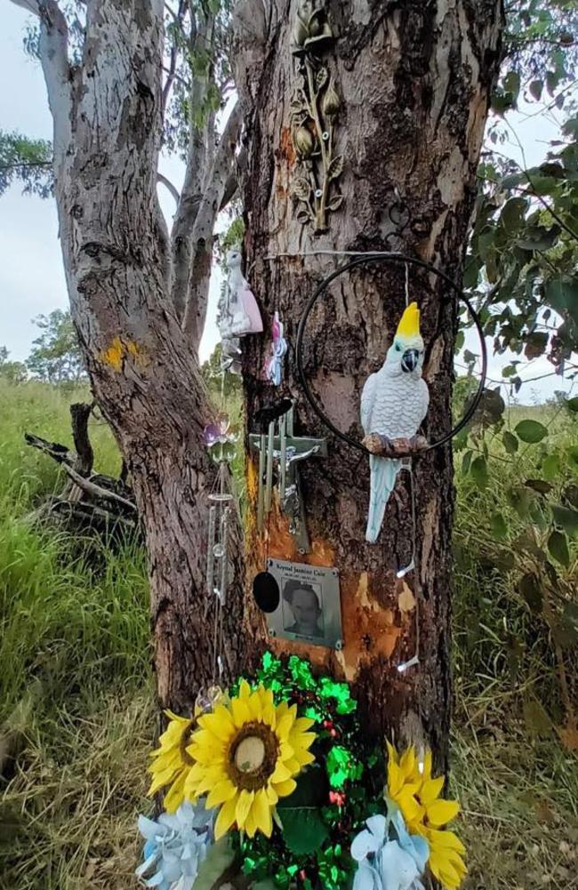 The tree in Booubyjan which Lenny Cain and his daughter Krystal held onto during deadly flash flooding which eventually carried Krystal away. Her body was never found. Today, a memorial to Krystal has been created at the site. Photo: Contributed.