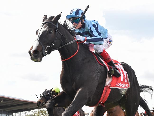 Onesmoothoperator (USA) ridden by Craig Williams wins the Ladbrokes Geelong Cup at Geelong Racecourse on October 23, 2024 in Geelong, Australia. (Pat Scala/Racing Photos via Getty Images)