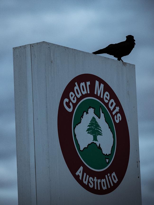 A crow sits on the Cedar Meats sign at their Melbourne abbatoir. Picture: Getty Images