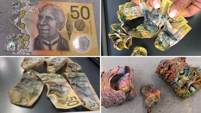 Examples of damaged money returned to the RBA. Picture: Supplied