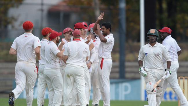 Preston players celebrate a wicket last summer. Picture: Chris Eastman.