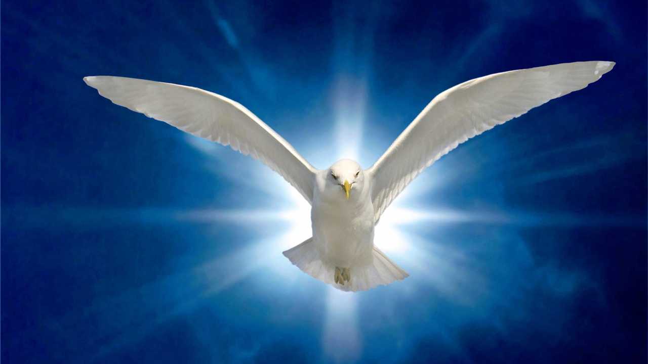 Holy Spirit Dove on Royal Blue Starburst Background