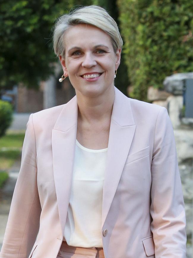 Outgoing Labor deputy leader Tanya Plibersek. Picture: Justin Lloyd