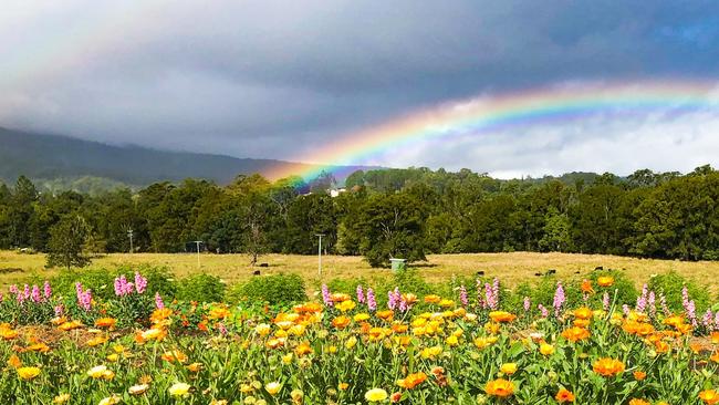 Katie and James Geralds have created Bloom, a new local venture offering chemical-free edible flowers to the restaurant and catering market.