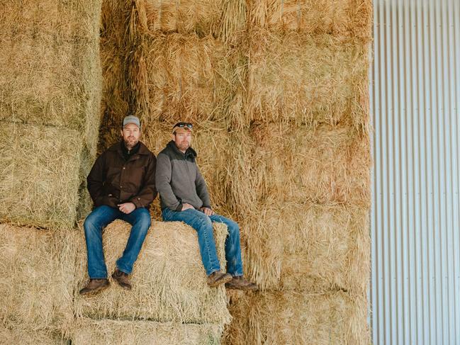 <s1>Quality performance: Sam Thompson and brother Jake have enjoyed a good hay-cutting season thanks to good weather and attention to detail.</s1> <source> Picture: Chloe Smith </source>