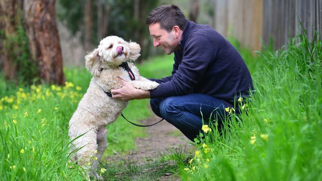 Matt Guy has spoken about what drives him in his second tilt at leading the Liberal Party. Picture: Nicki Connolly