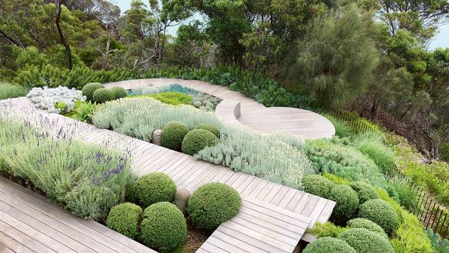 Coastal garden by Nathan Burkett. Picture: Mark Vessey