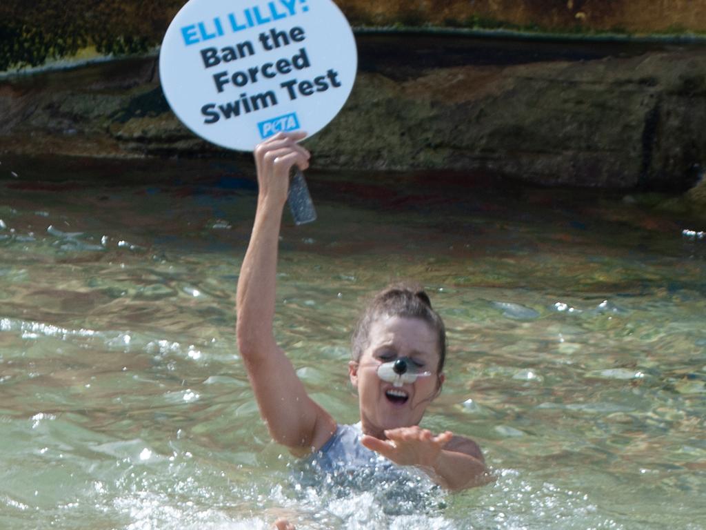 They want the ‘barbaric’ forced swim test banned. Picture: PETA