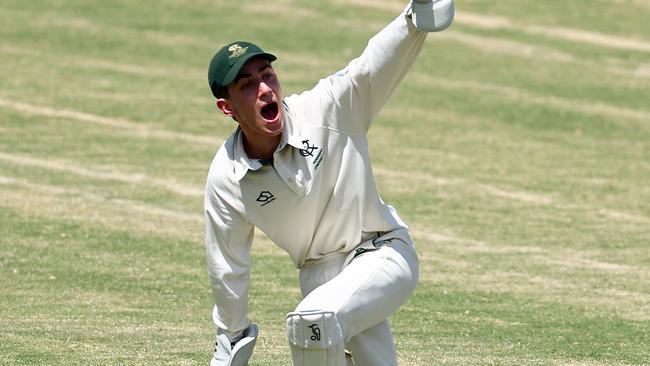 Tom Bourke played a key role for Rosanna in their semi-final win. Photo: Josh Chadwick.