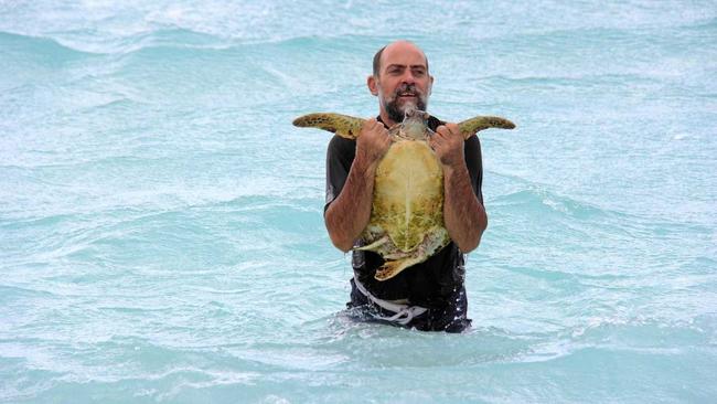 TURTLE HELP: Gladstone Local Marine Advisory Committee chair Karl French.