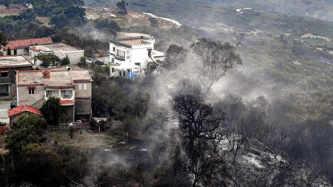 Burnt trees stand in the wake of a forest fire near the town of Melloula in northwestern Tunisia close to the border with Algeria. Picture: AFP