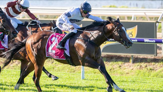 Overpass wins last year’s The Quokka.